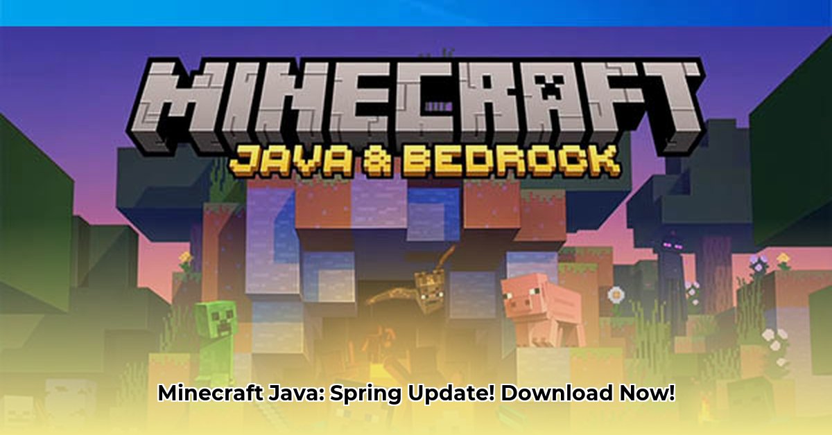 minecraft-download-latest-version-java